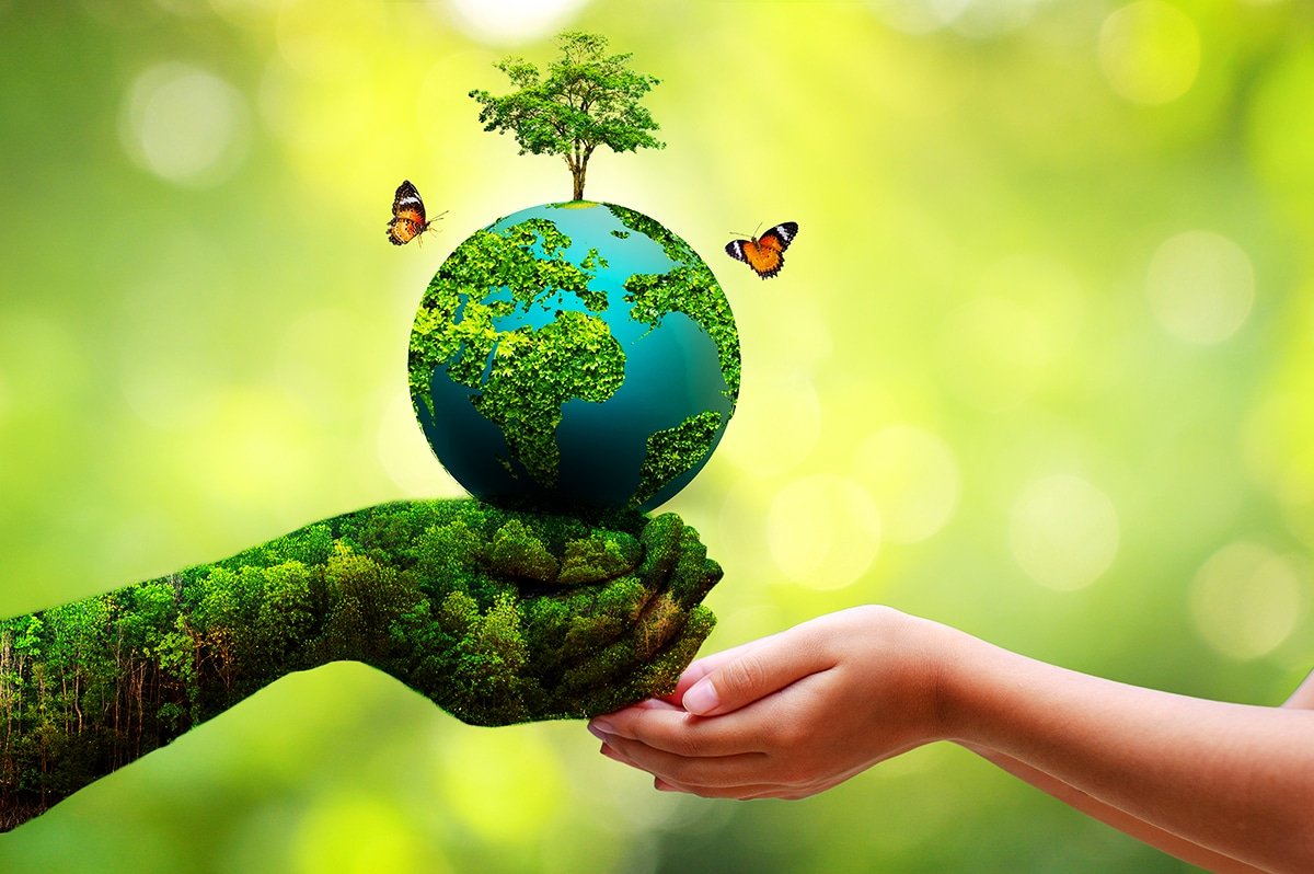 Protección y conservación del medio ambiente: nuestra responsabilidad
